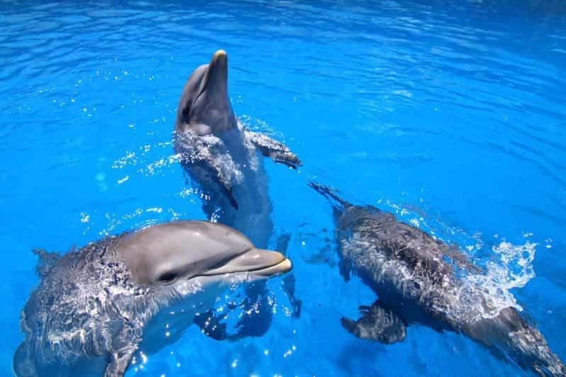 Appartamento Costa Del Sol Benalmádena Esterno foto